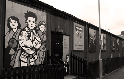 prokick gym, belfast